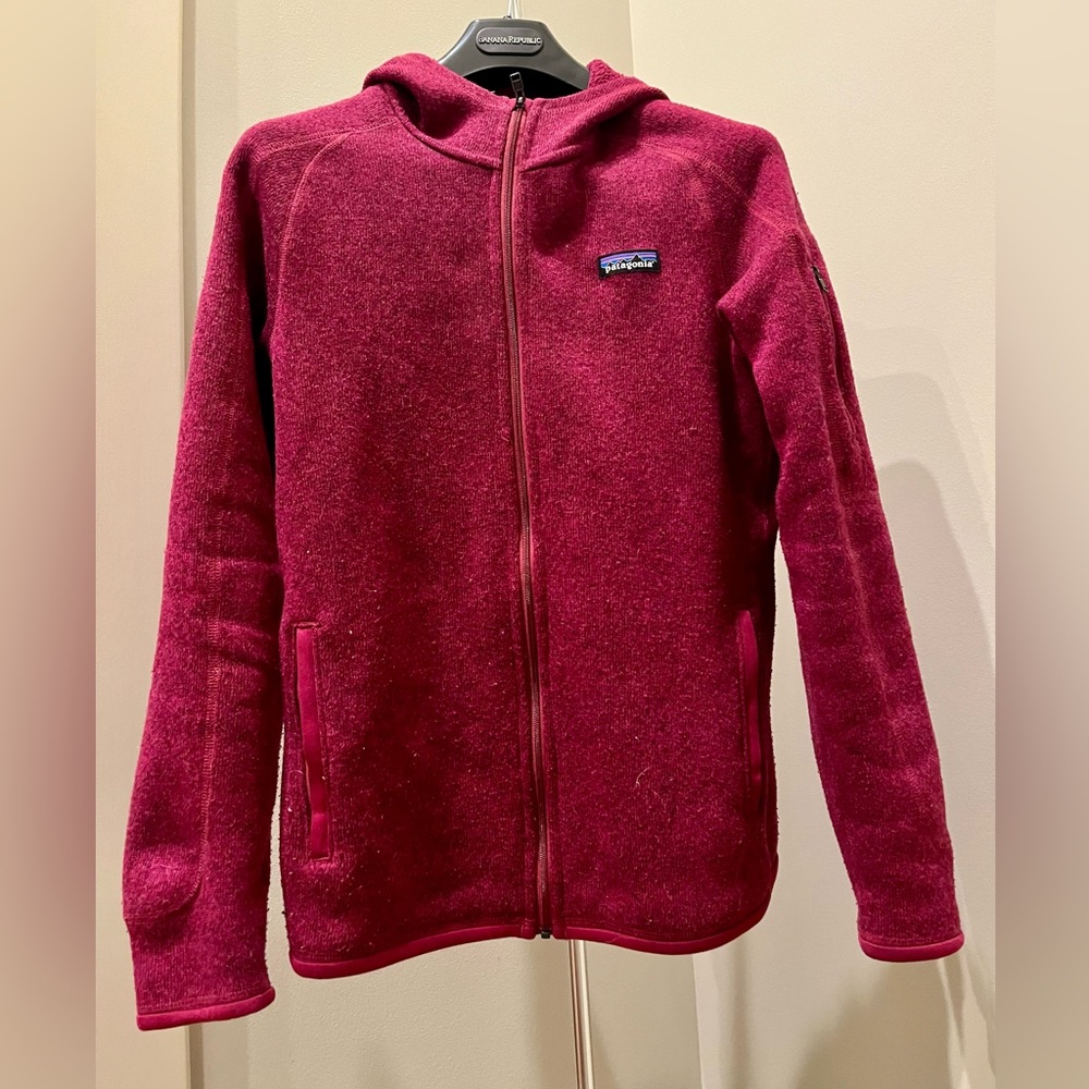 Patagonia Hooded Better Sweater